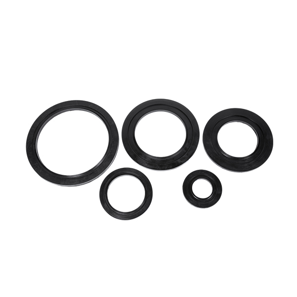 Centrifugal Pump Rubber Seals